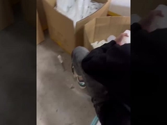 সিলিকন ওয়াশিং মেশিন, সিলিকন গ্যাসকেট