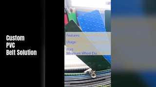 খাদ্য পিভিসি পরিবাহক বেল্ট কাস্টমাইজযোগ্য দৈর্ঘ্য
