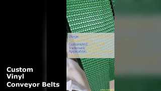 কাস্টম ভিনাইল পরিবাহক বেল্ট সমাধান