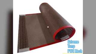 PTFE মেশ বেল্ট সর্বোচ্চ প্রস্থ 4m উচ্চ তাপমাত্রা