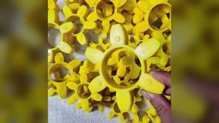 জোং আং পিইউ কাপলিং স্পাইডার